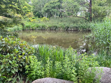 23-05-16 12-58-44 5407